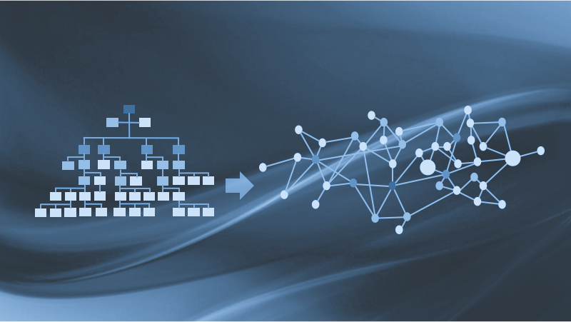 A Cross-Functional Company Structure